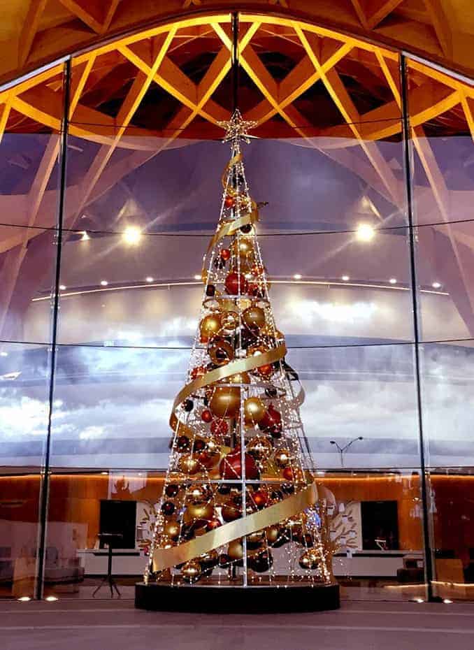 cone-tree-565-bourke